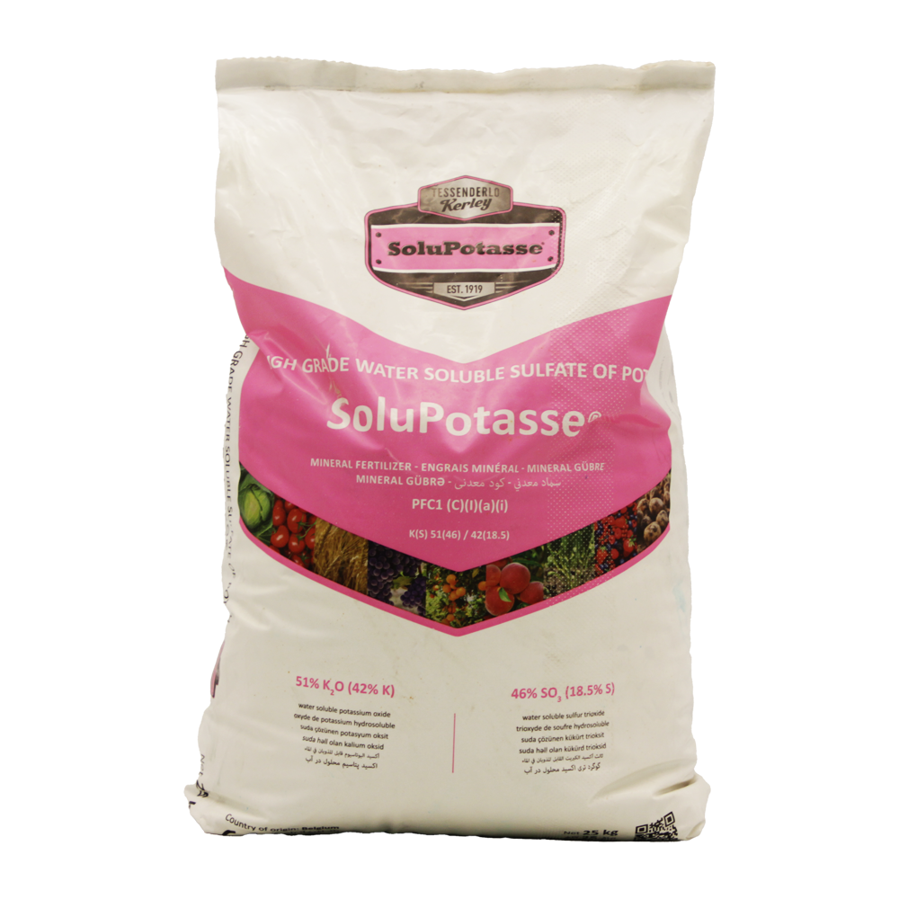solupotasse solupotasse