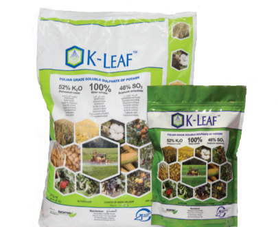 k leaf