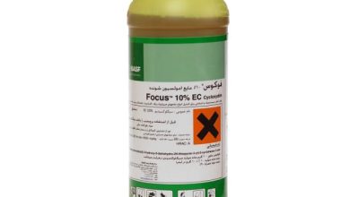 علف کش فوکوس 10%