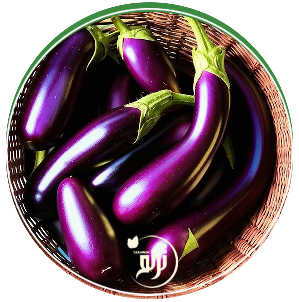 eggplant varieties