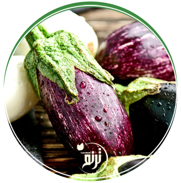 eggplant varieties