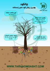 چالکود