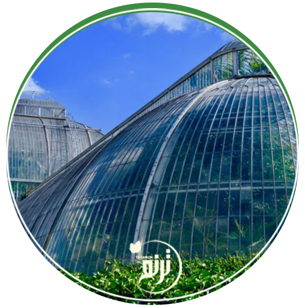 Carbon dioxide in the greenhouse