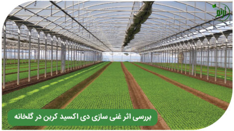 Carbon dioxide in the greenhouse