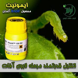 ایمونیت