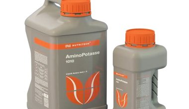 Amino
