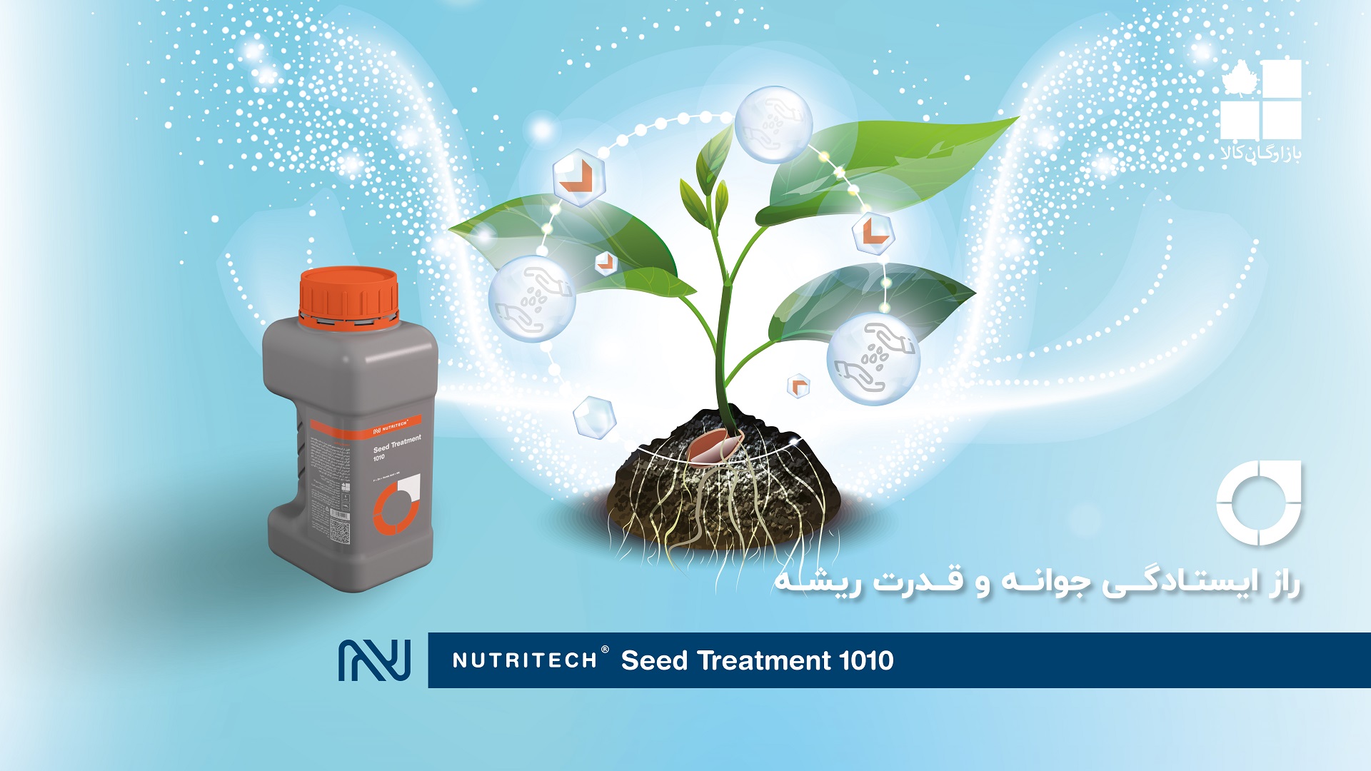 سید تریتمنت