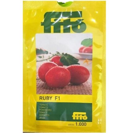 بذر گوجه زیتونی رابی