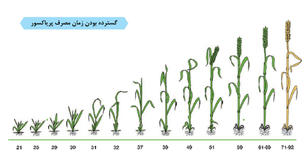 سم قارچ کش پریاکسور