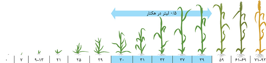 مداکس تاپ