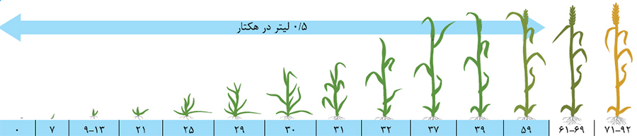 سم قارچ کش اینوور 35.5%