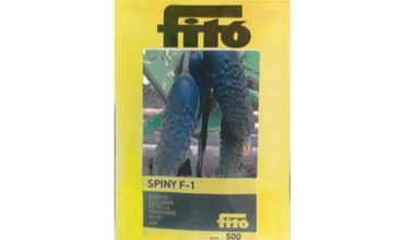 بذر خیار اسپاینی فیتو (Spiny Fito)