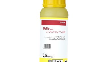 بلیس