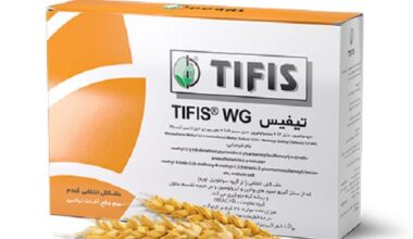 تیفیس دوگال