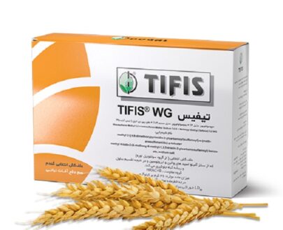 تیفیس دوگال