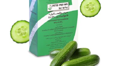 پیتیو پرو دوگال