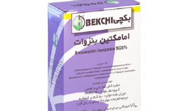 Bekchi