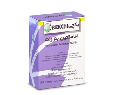 Bekchi