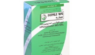 حمله دوگال