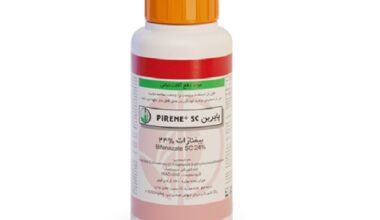 پایرین دوگال