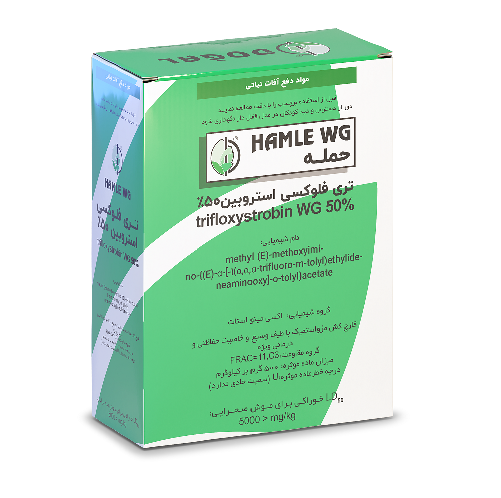 hamlewg حمله دوگال