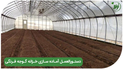 Preparing the tomato greenhouse