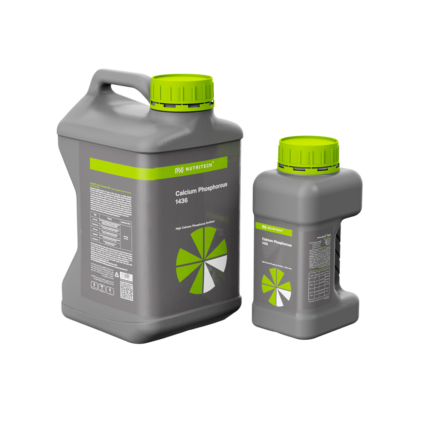 Calcium Phosphorous 1436