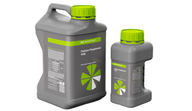 Calcium Phosphorous 1436