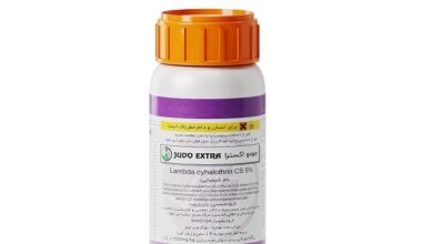 JudoExtra