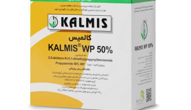 Kalmis