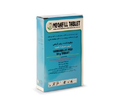 Megafill