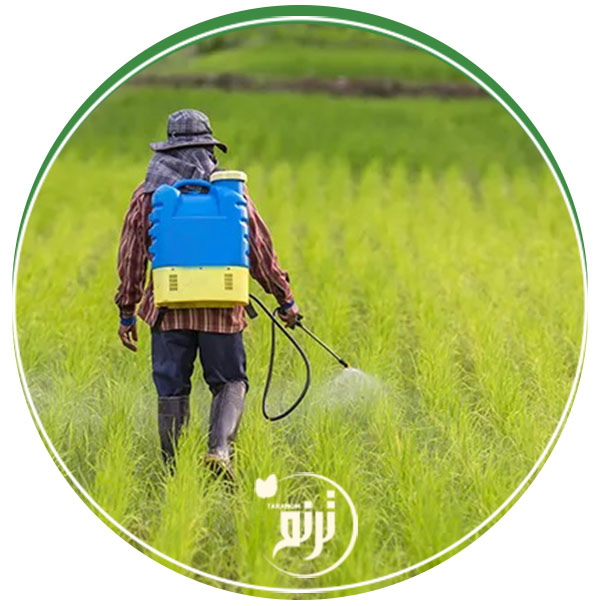 Pesticides allowed in organic farming
