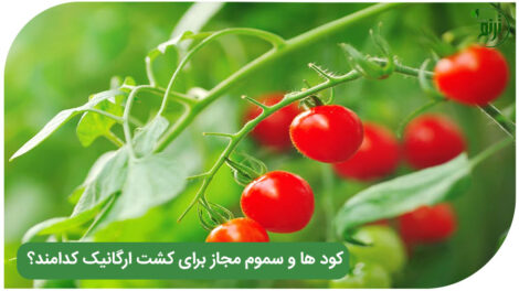 Pesticides allowed in organic farming