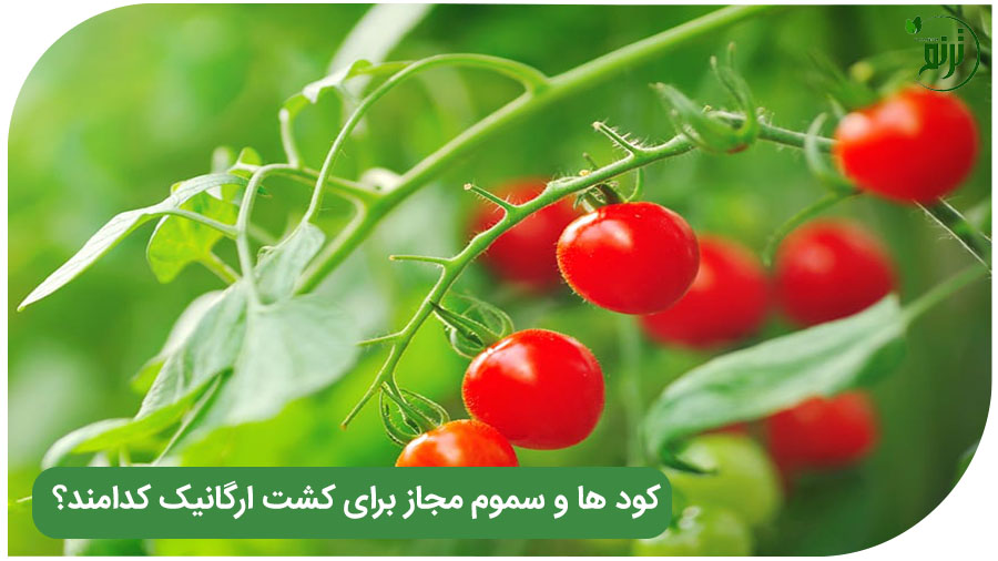Pesticides allowed in organic farming