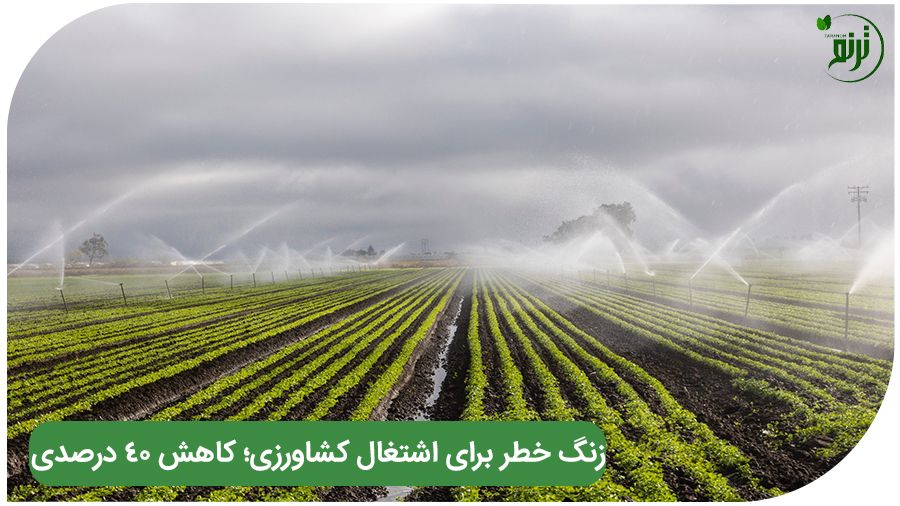 خبر: زنگ خطر برای اشتغال کشاورزی؛ کاهش ۴۰ درصدی در دو دهه اخیر