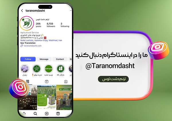 اینستاگرام ترنم دشت توس